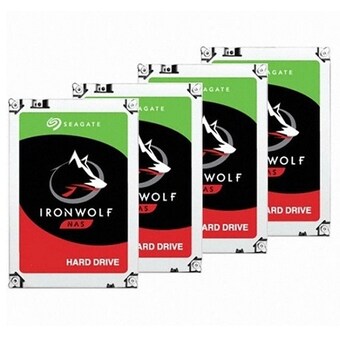 Seagate IronWolf 패키지 7200/256M ST12000VN0008