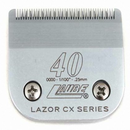 ������ Ŵ�� ��ü��