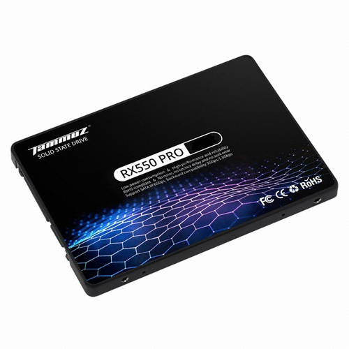 타무즈 RX550 PRO (250GB)_이미지