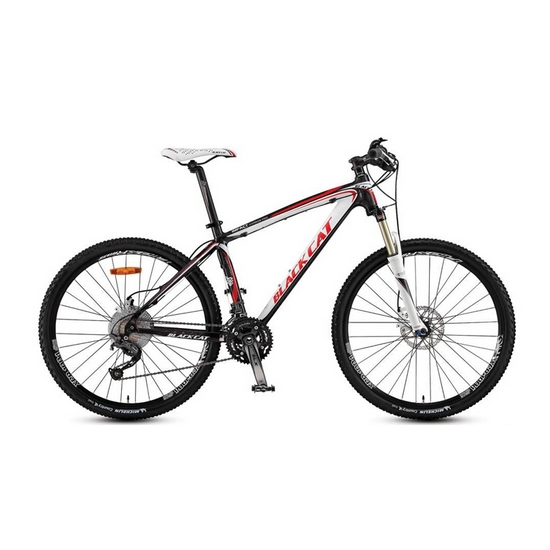 삼천리자전거 첼로스포츠 블랙캣 임팩트 카본 프로 (2011년형)