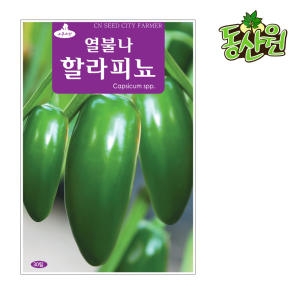 [불명] 열불나할라피뇨 할라피뇨고추씨앗 고추씨앗 할라피뇨