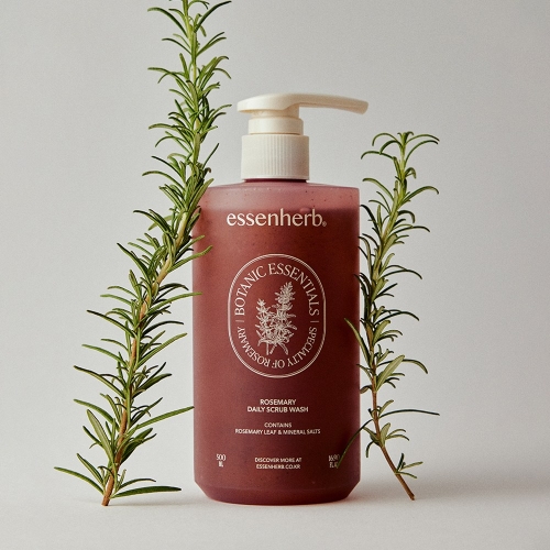 에센허브 로즈마리 데일리 스크럽 워시 500ml