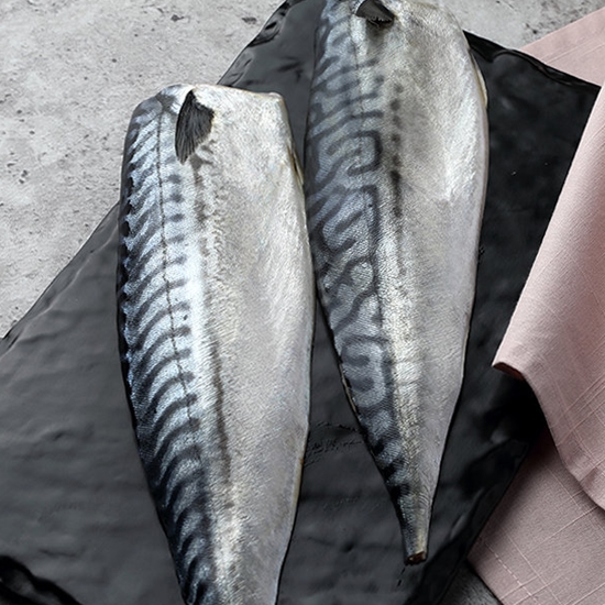 청정해 노르웨이 고등어살 특대 3kg (1개)_이미지
