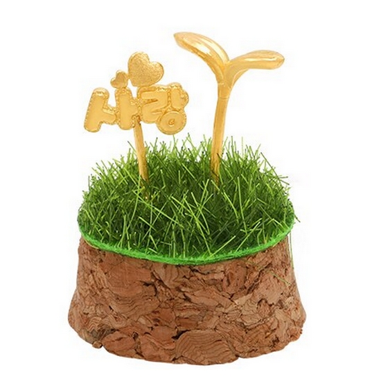 혼골드모아 골드모아 잔디 새싹사랑 돌선물 3.75g