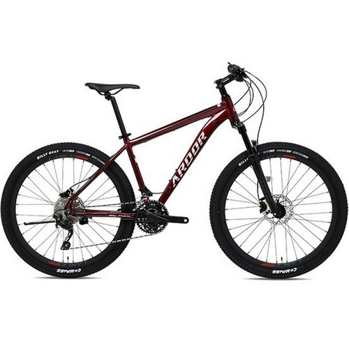 알톤스포츠 아더 A30 (2023년형)_이미지