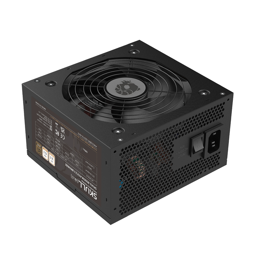 NEWZEN SKULL 850EM 80PLUS����� ATX3.1