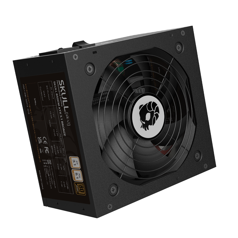 NEWZEN SKULL 850EM 80PLUS����� ATX3.1