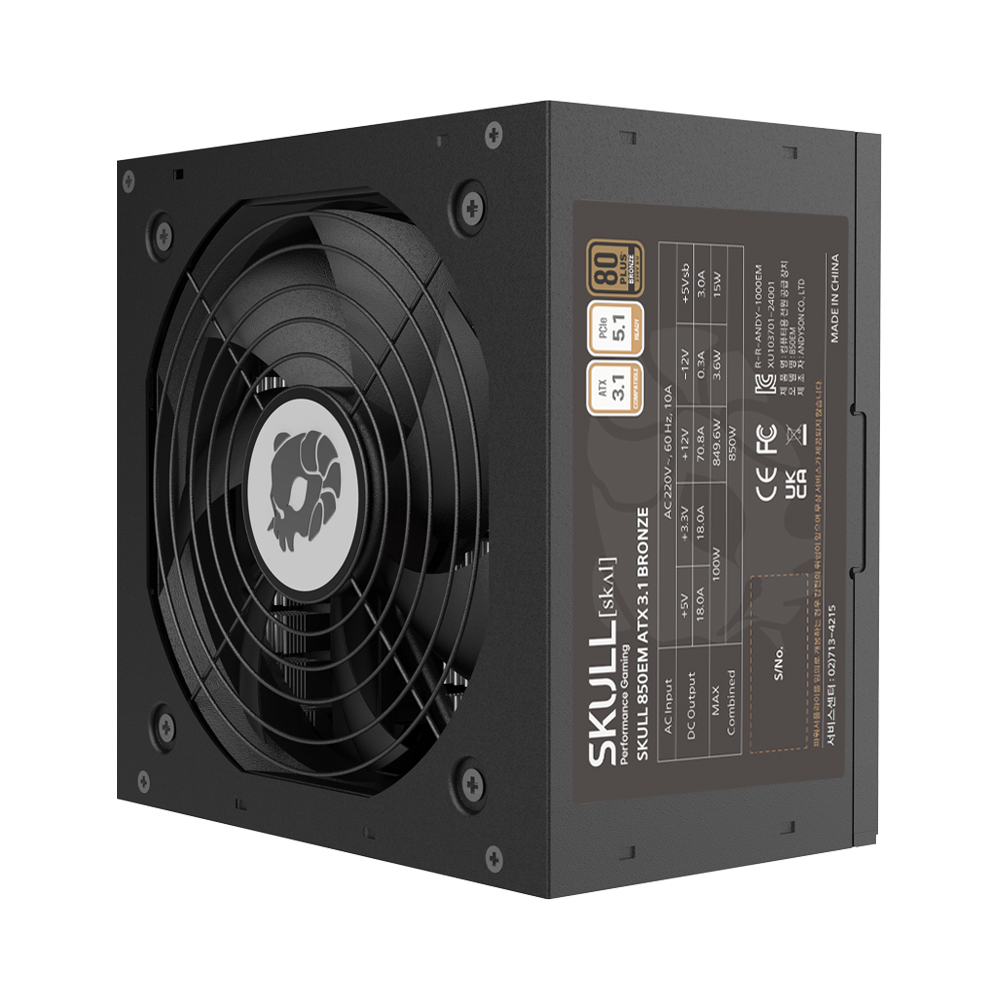 NEWZEN SKULL 850EM 80PLUS����� ATX3.1