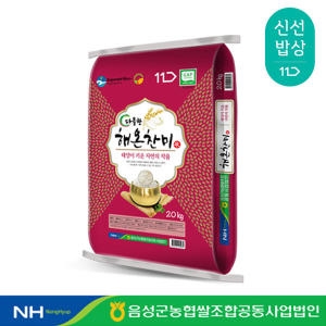 음성농협 2025 다올찬 해온찬미쌀 상등급 20kg