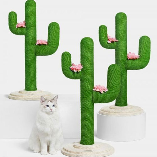 VETRESKA 고양이 선인장 스크래쳐 대형이미지입니다. 누르면 해당 게시물로 새창이동합니다.