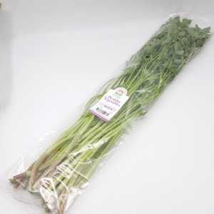 건강채소 간편야채 국내산 미나리 200g