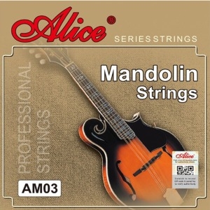 ������ ��������Ʈ�� �������� ��