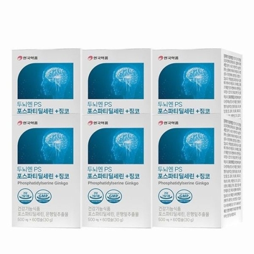 안국약품 두뇌엔PS 포스파티딜세린+징코 500mg 60캡슐 (6개)_이미지