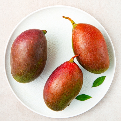 브라질산 애플망고 1.2kg 3입 1팩