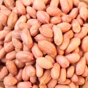 땅콩 생땅콩 알땅콩 생알땅콩 1kg 국내산 조림 반찬용