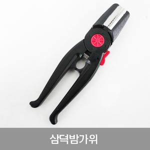 SM ��� �㰡�� ���󷣴� / ���� ��Į ����