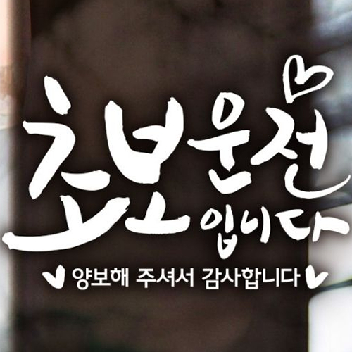 자동차스티커 캘리텐션B001 초보운전입니다