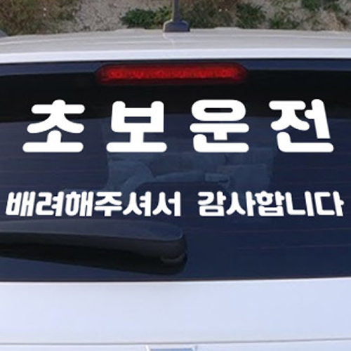  멀리서도 잘보이는 대형 초보운전 스티커