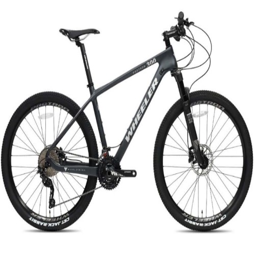 휠러 프로트론 300_이미지