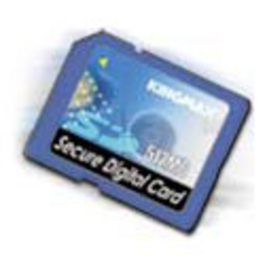 KINGMAX SD (256MB)_이미지