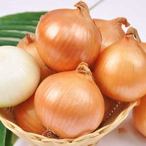푸르젠 선별배송 25년산 햇양파 10kg_이미지