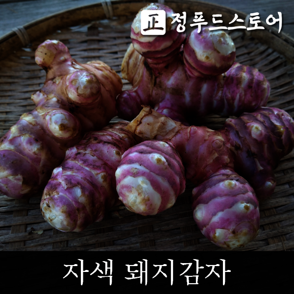 정푸드스토어 자색 돼지감자 특대 10kg