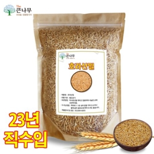 THE큰나무 터키산 호라산밀 10kg (1개)_이미지