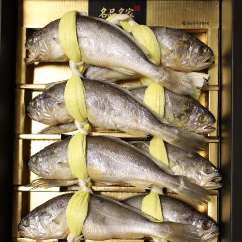 참굴비 20마리 1.8kg 중 19cm내외