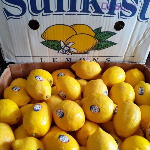 썬키스트 레몬 30과 대과 팬시 레몬 3.6kg 미국산 레몬 한박스 생레몬 신과일 레몬청