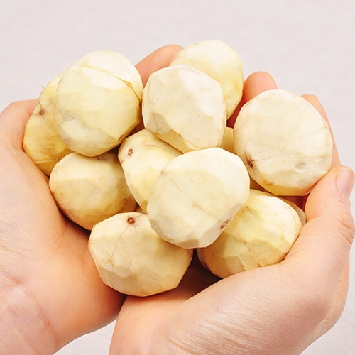 푸르젠 충남 부여 달하산농장 24년산 햇 깐 밤/생율 1kg 특대 혼합_이미지