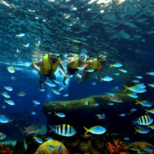 �Խ̰����� ��庥ó �ں� ������ũ