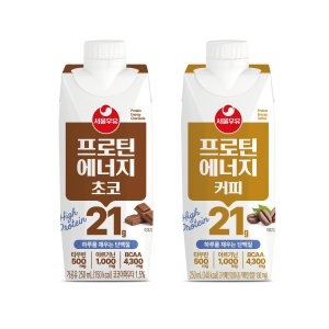 서울우유 프로틴 에너지 초코 240ml (36개)_이미지