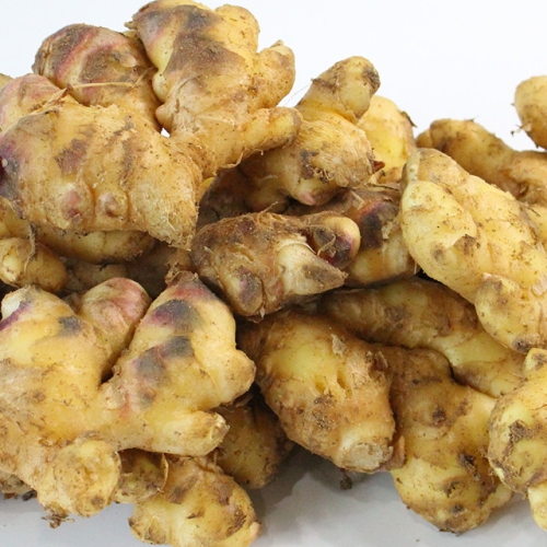 친환경팔도 팔도농장 23년 서산 햇 흙생강 1kg