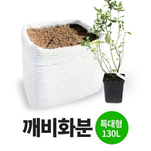 탑블루베리 블루베리 전용화분 1개_이미지
