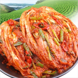 생포기김치 10kg