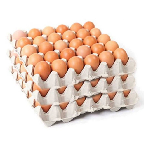 닥터안스에그 대란 90구 (1개)_이미지