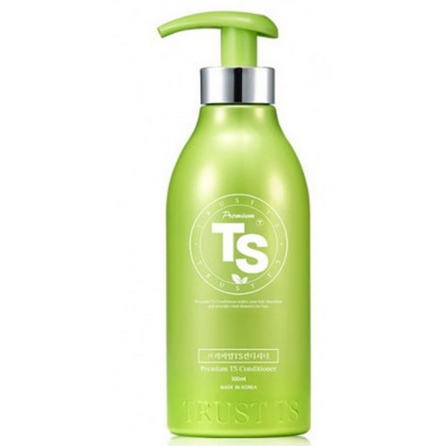 TS 프리미엄 TS 컨디셔너 500g (1개)_이미지