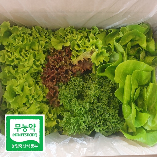 초록초록팜 무농약 유럽 샐러드 채소 모듬 쌈 야채 깨끗한 수경재배 1kg이미지입니다. 누르면 해당 게시물로 새창이동합니다.