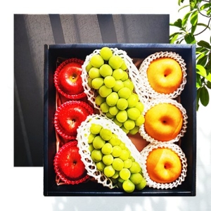 프리미엄 과일 혼합선물세트 1호 4.5kg