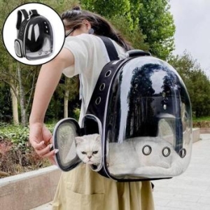 ���ϸ� Rly ���� ������ �̵����� ���� ������ �ݷ����� ĳ�� 42214792