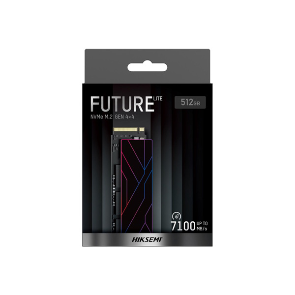 HIKSEMI FUTURE Lite M.2 NVMe (512GB)_이미지