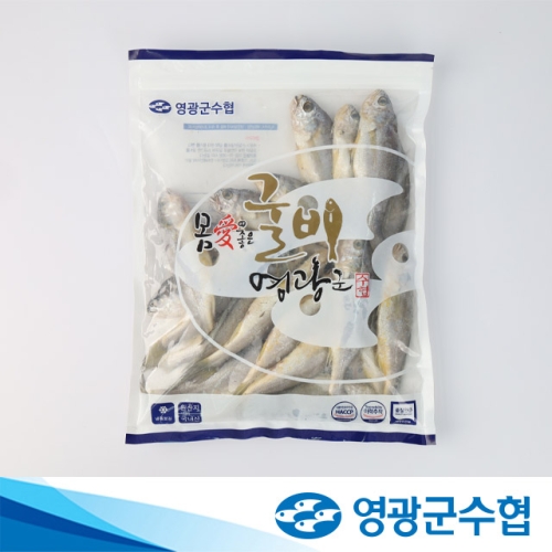 영광군수협 법성포 영광 저염 굴비 1.2kg 20미_이미지