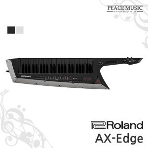 롤랜드 AX-EDGE 숄더키보드