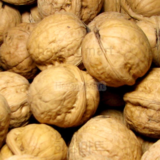 미국산 피호두 1kg