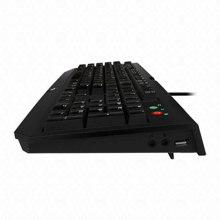 Razer BlackWidow Expert 2013 US �����ڽ�