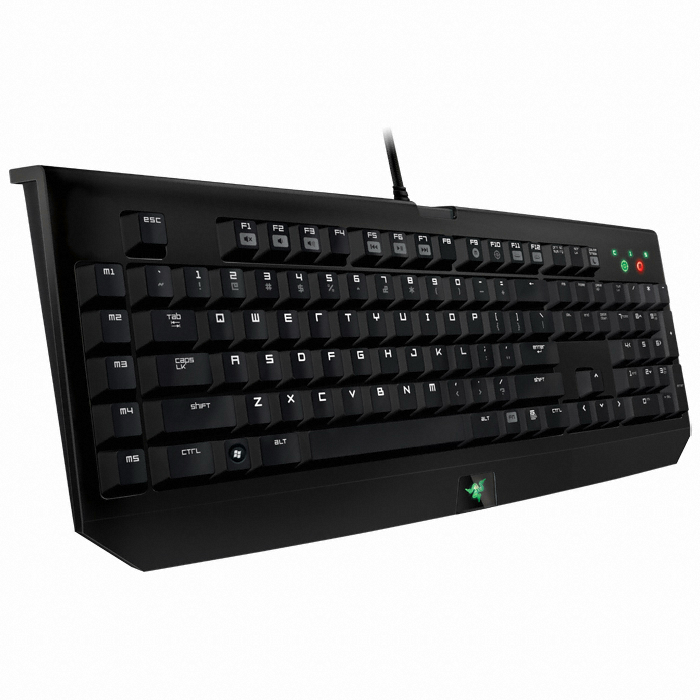 Razer BlackWidow Expert 2013 US 웨이코스