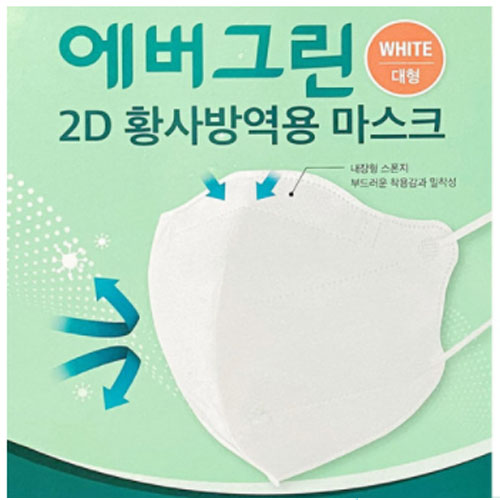 �����׸� 2D Ȳ��濪�� ����ũ KF94 ����