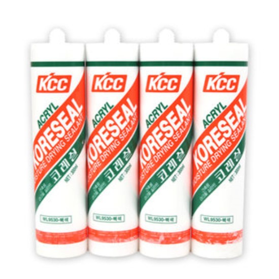 KCC �ڷ��� WL9530 300ml