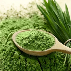 유기농 새싹보리 착즙분말 3개월분