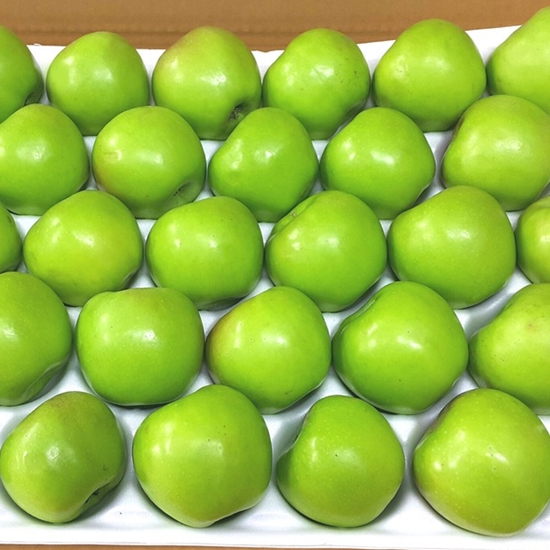 안동 아오리사과 14~20개(과) 5kg (1개)